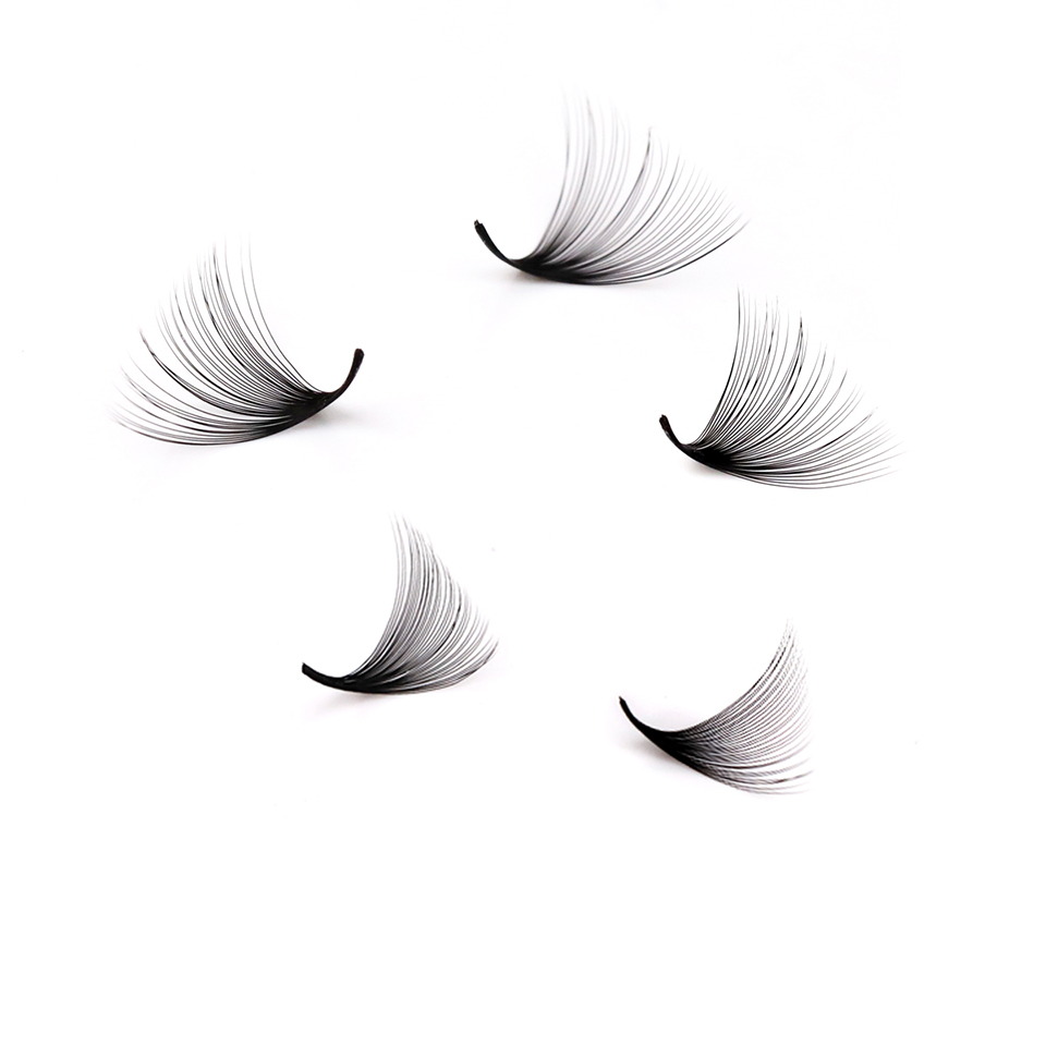 ラッシュプロフェッサーXLトレイ 3D 4D 5D 6D 7 - Eyelash Extension Mega Volume のレビューと価格