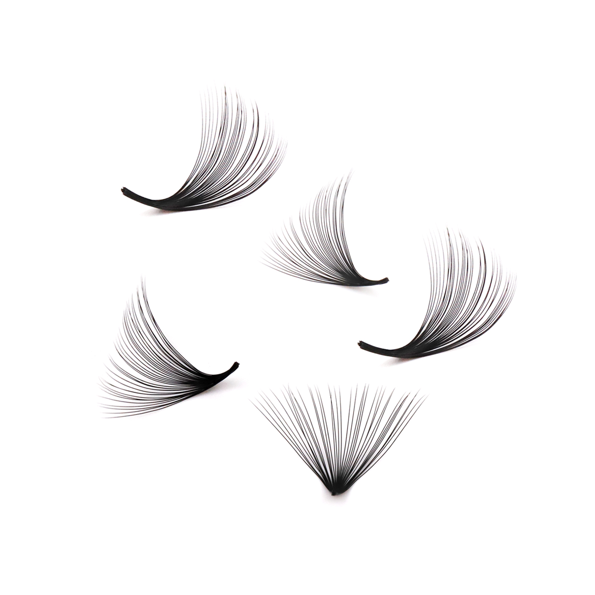 Aguud 2500ファン ルーズファン ポインティベース  - Eyelash Extension Mega Volume のレビューと価格