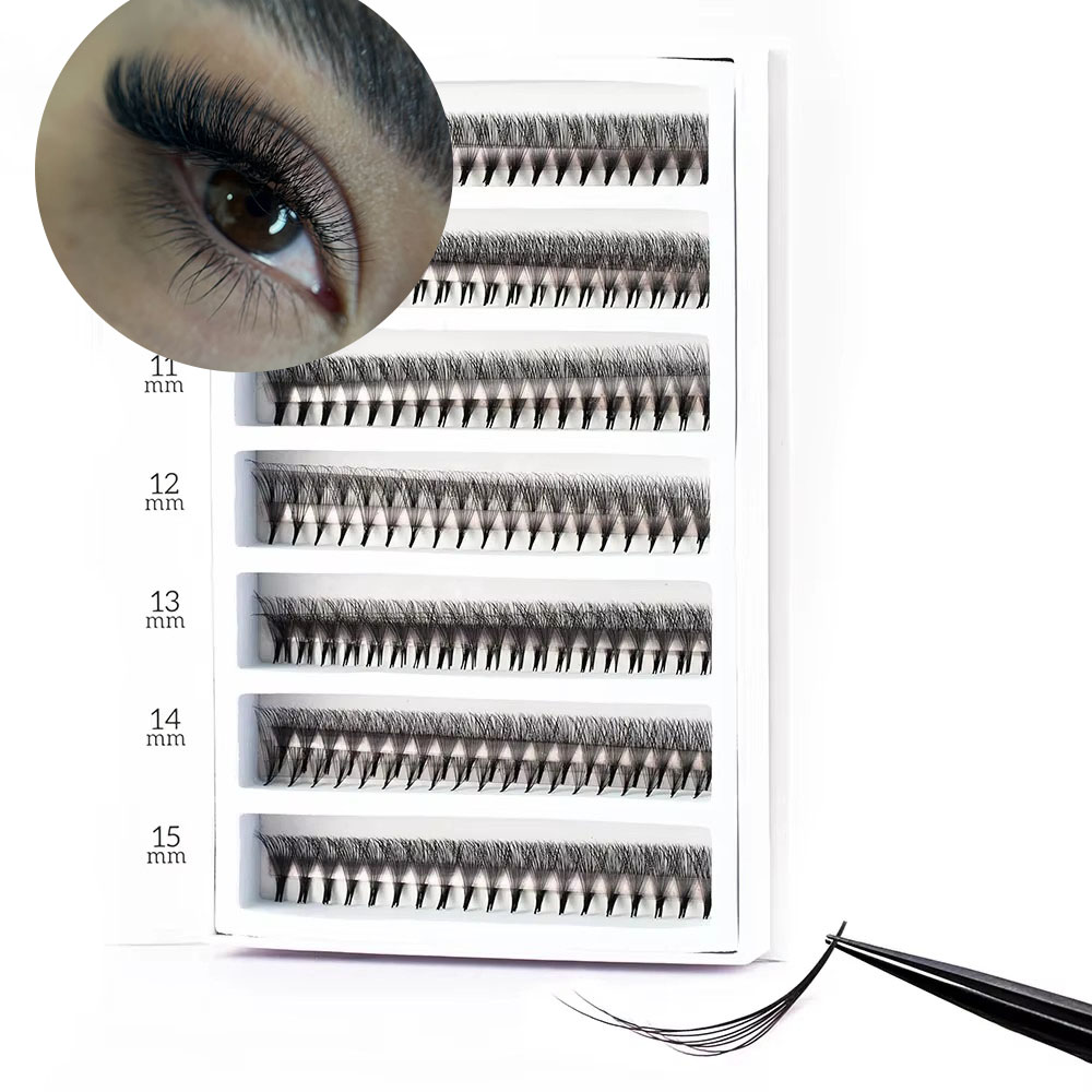 1600 ファン 0.05 手作り 8-30D ラピッドメガ - Eyelash Extension Mega Volume のレビューと価格